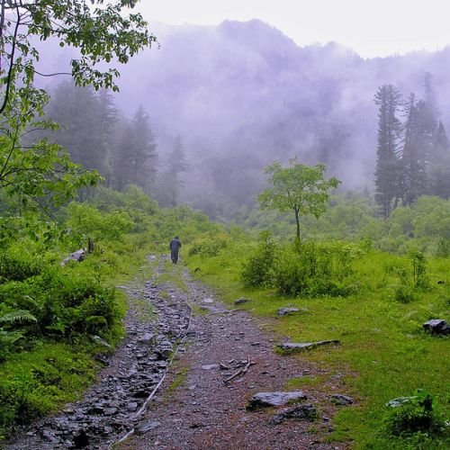 listing-details-carousel